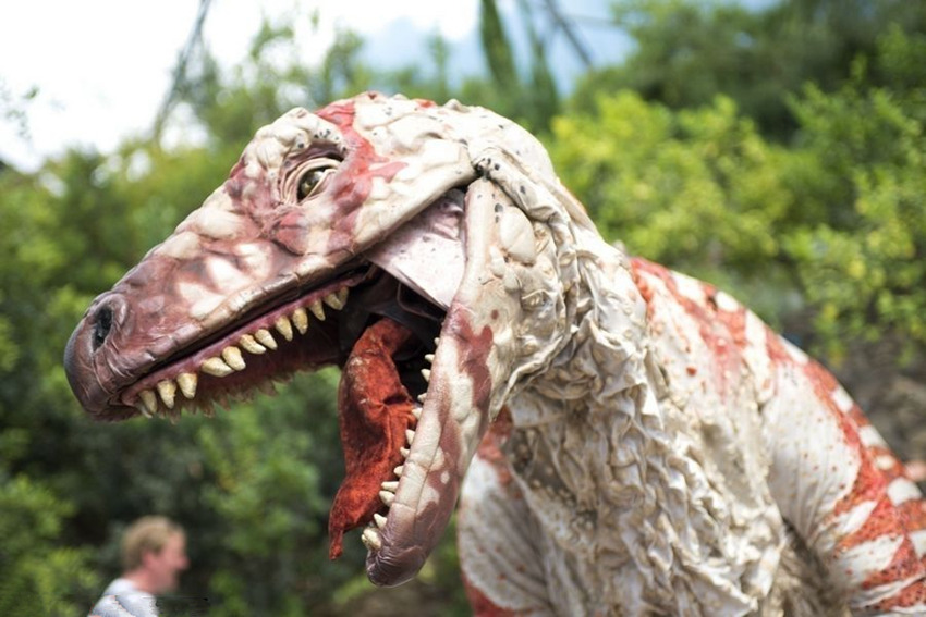 ?? ?? ?? ???, ?? ?? ???? 100%