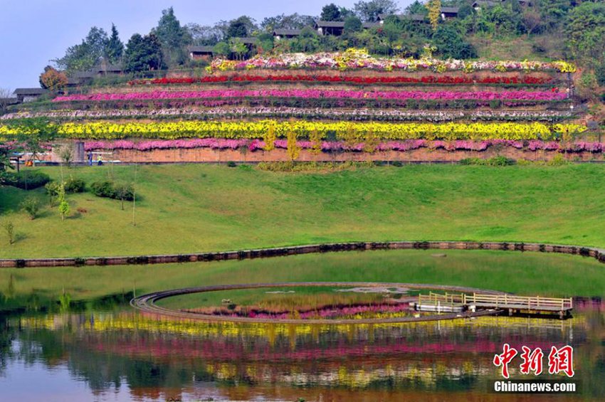 ?? 2015 ?? ???? ‘?? 10? ???’ ??