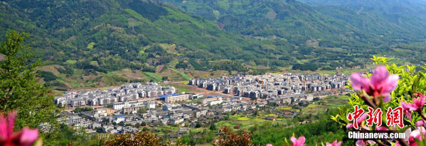 ?? 2015 ?? ???? ‘?? 10? ???’ ??