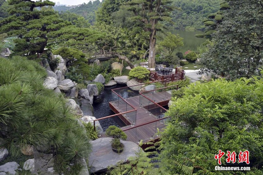 ?? ?? 800? ?? ?? ????, ‘?????’