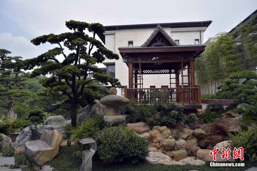 ?? ?? 800? ?? ?? ????, ‘?????’