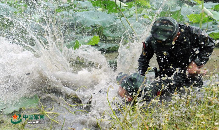 ??? ???? ??? ???…?? ?? ??