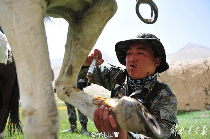 ?? ???? ?? 5000?? ??… ??? ??