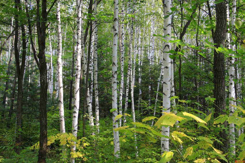 ????? ?? ??? ???? ??? ??