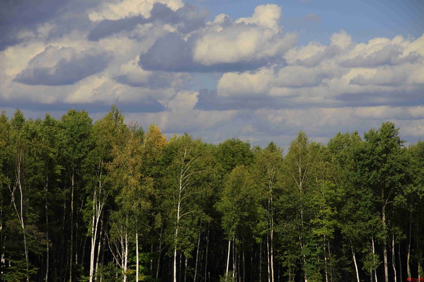 ????? ?? ??? ???? ??? ??