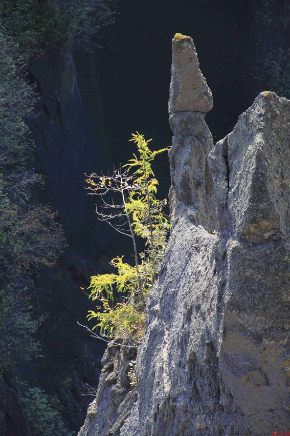 ????? ?? ??? ???? ??? ??