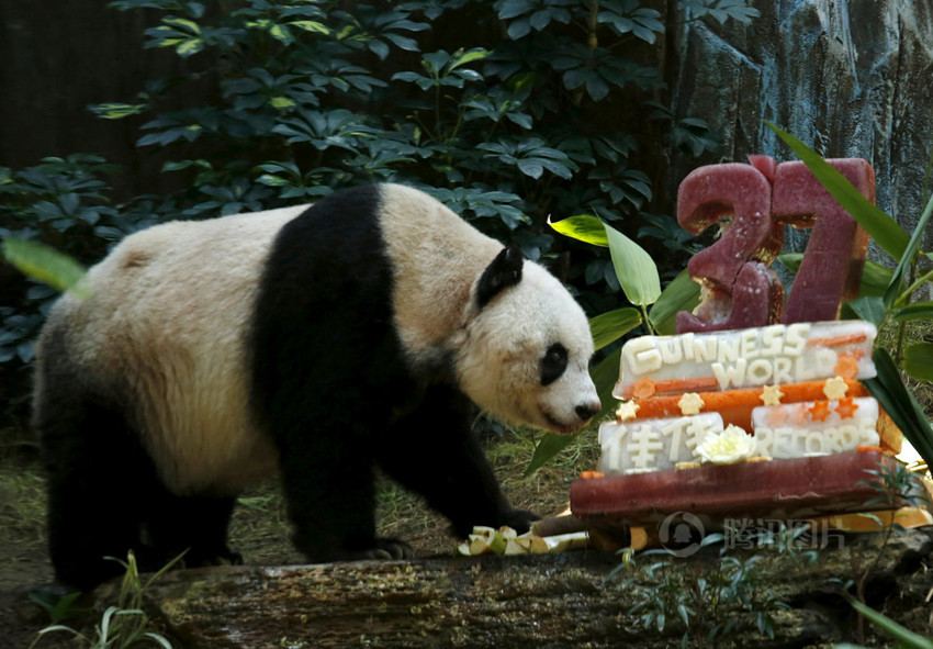 37? ?? ?? ?? ??? ??… ?? ?? 110?