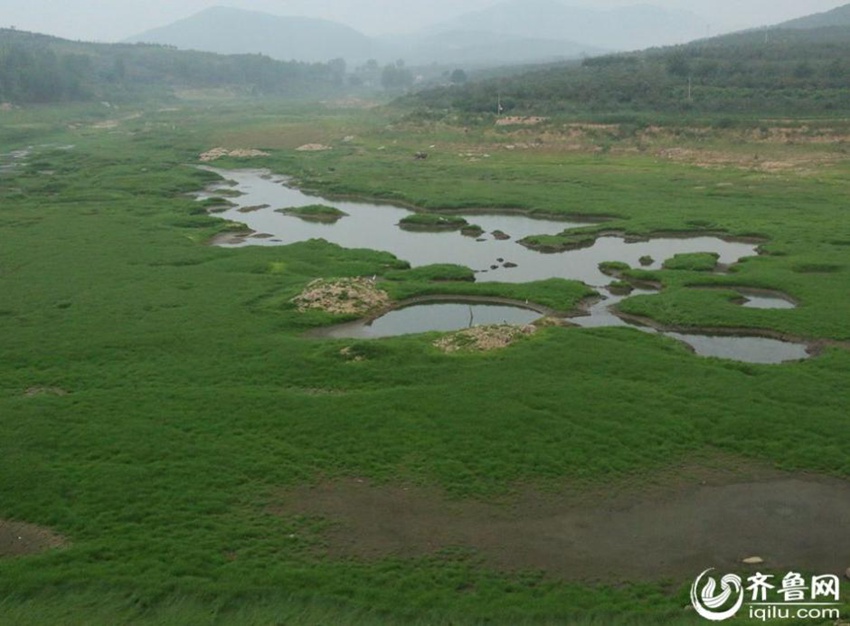 ?? ?? ??? ??, ???? ‘??’?? ??