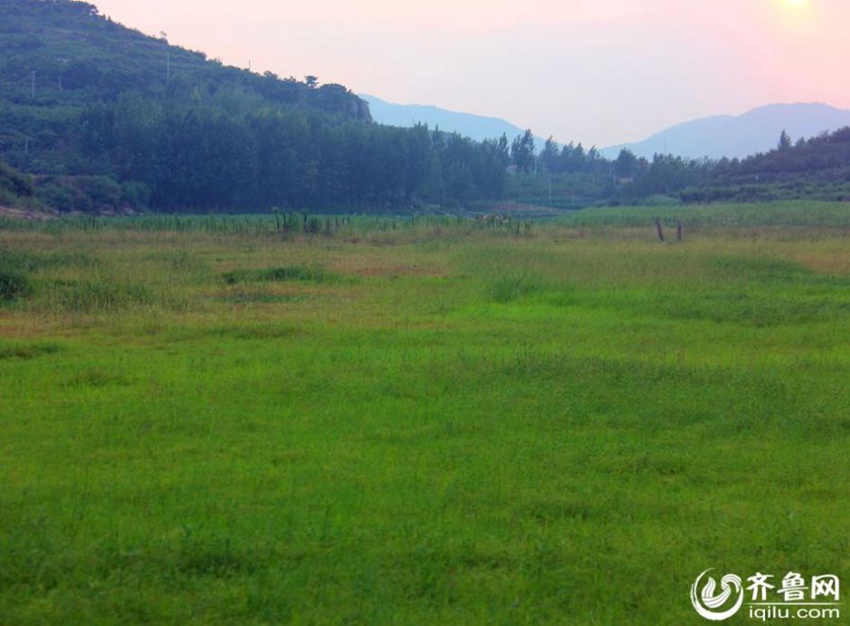 ?? ?? ??? ??, ???? ‘??’?? ??