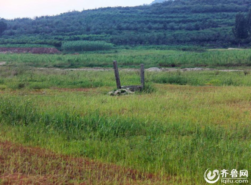 ?? ?? ??? ??, ???? ‘??’?? ??