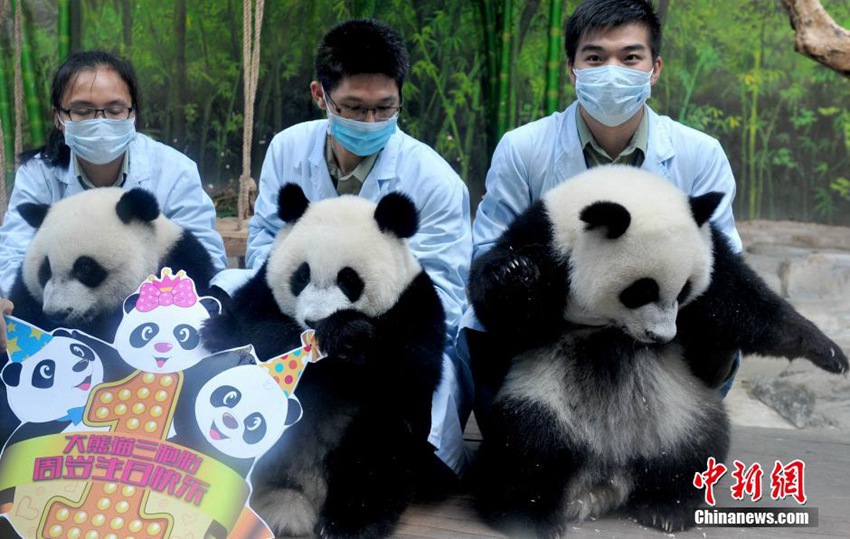 ???? ???? ?? ‘???’, ??????? ??