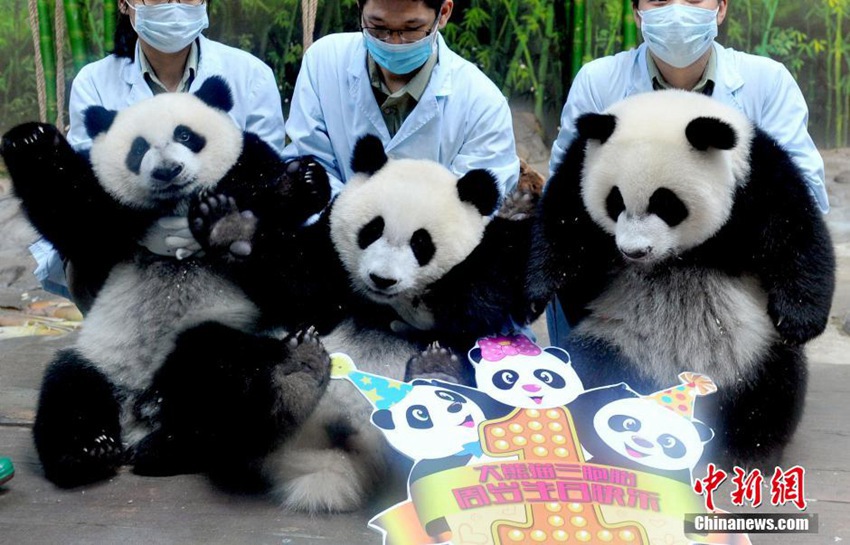 ???? ???? ?? ‘???’, ??????? ??