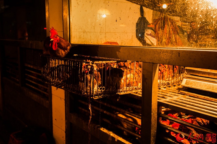 ?? ???? ???? ????? ?? ??