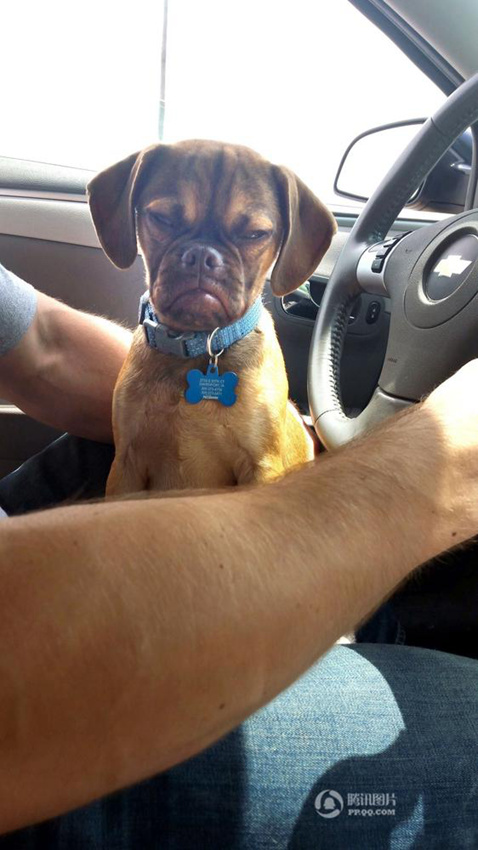 ?? ??? ??? ??? ?? ‘??? ?’ ??