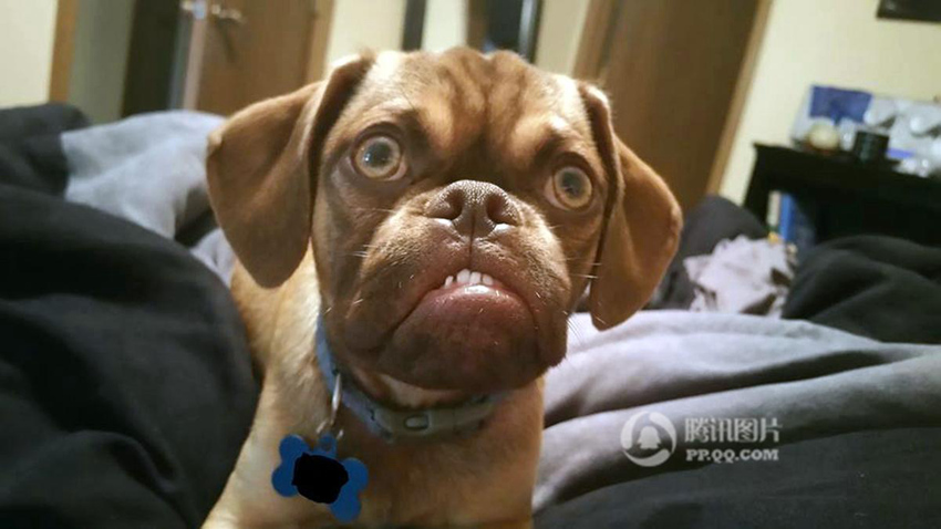 ?? ??? ??? ??? ?? ‘??? ?’ ??