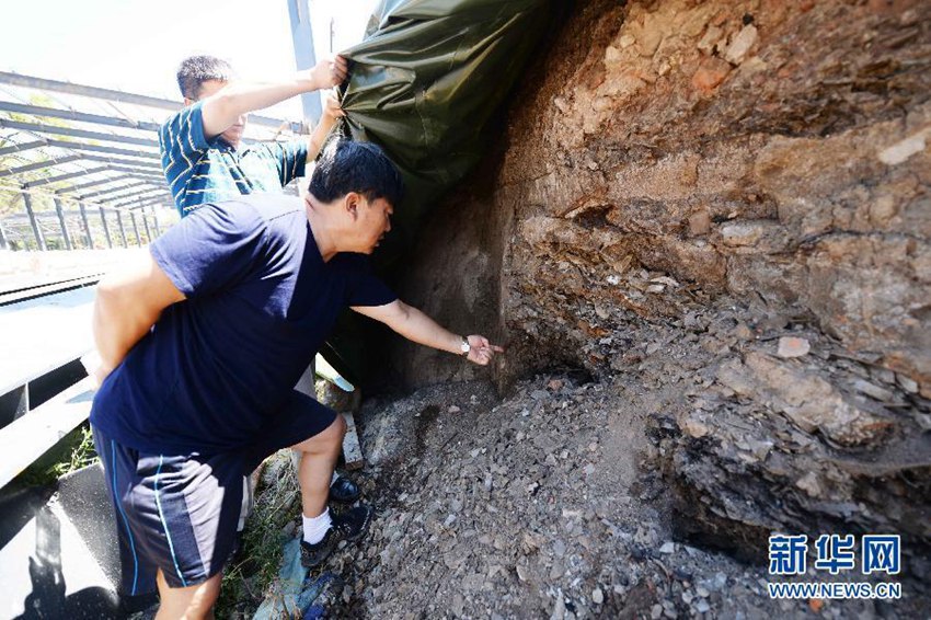 ??? 731?? ???? ???? 1?? ? ??