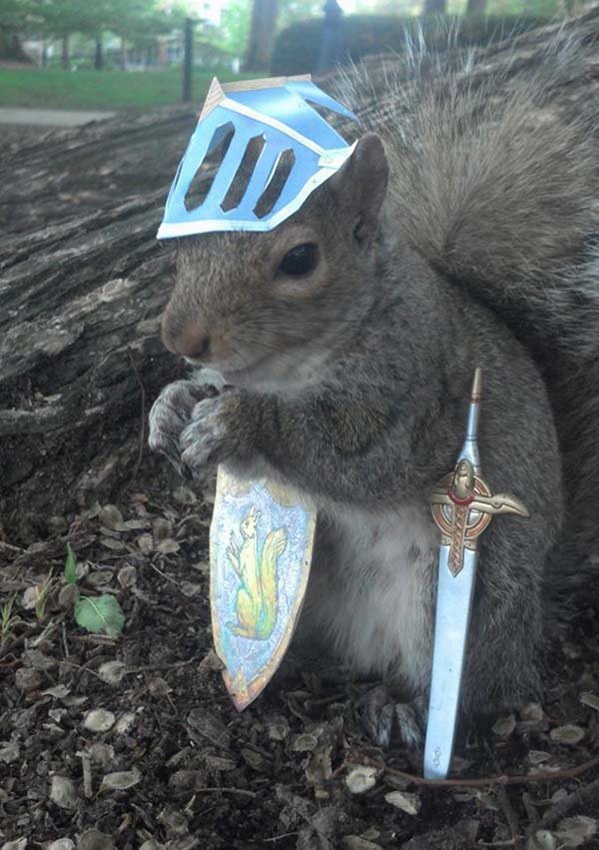 ??? ??? ?? ????? ??...‘?? ??’