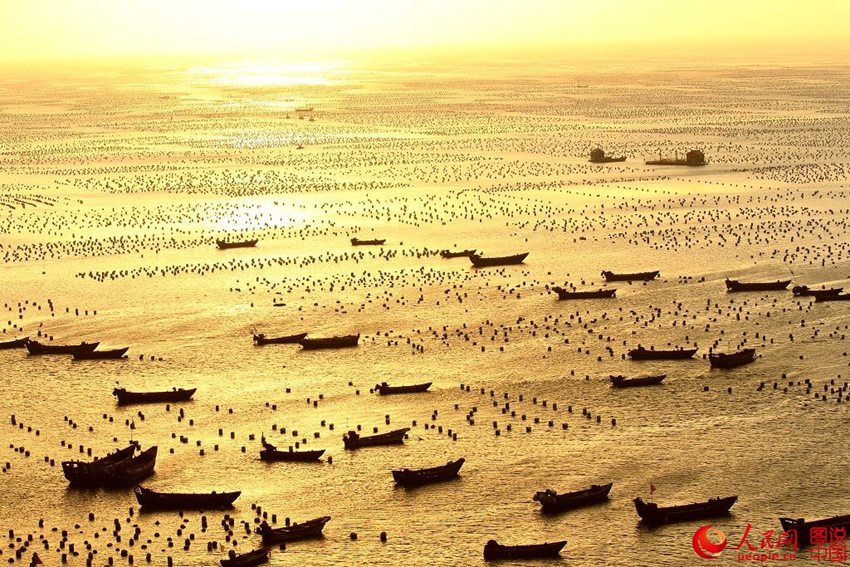 ??? ?????, ?? ? ?? ??