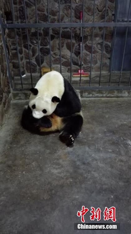 ?? ???? ?? ??? ???, ?? ??? ??