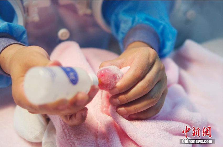 ?? ???? ?? ??? ???, ?? ??? ??