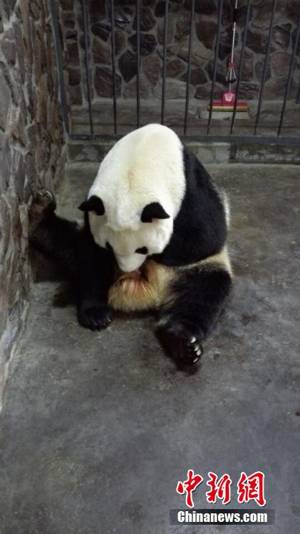 ?? ???? ?? ??? ???, ?? ??? ??