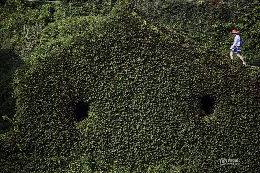 ?? ????(嵊山島), ??? ? ? ??? ???