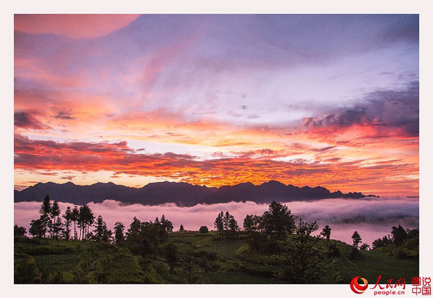 ??? ??…?? ??? ??? ??? ??