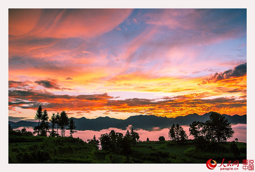 ??? ??…?? ??? ??? ??? ??