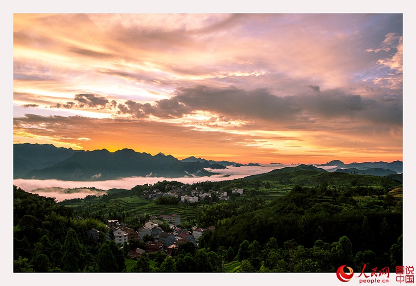 ??? ??…?? ??? ??? ??? ??