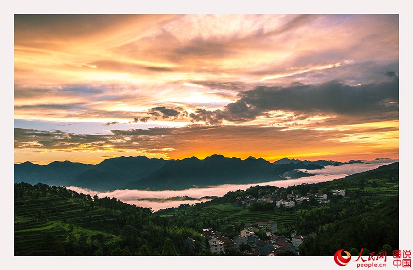 ??? ??…?? ??? ??? ??? ??