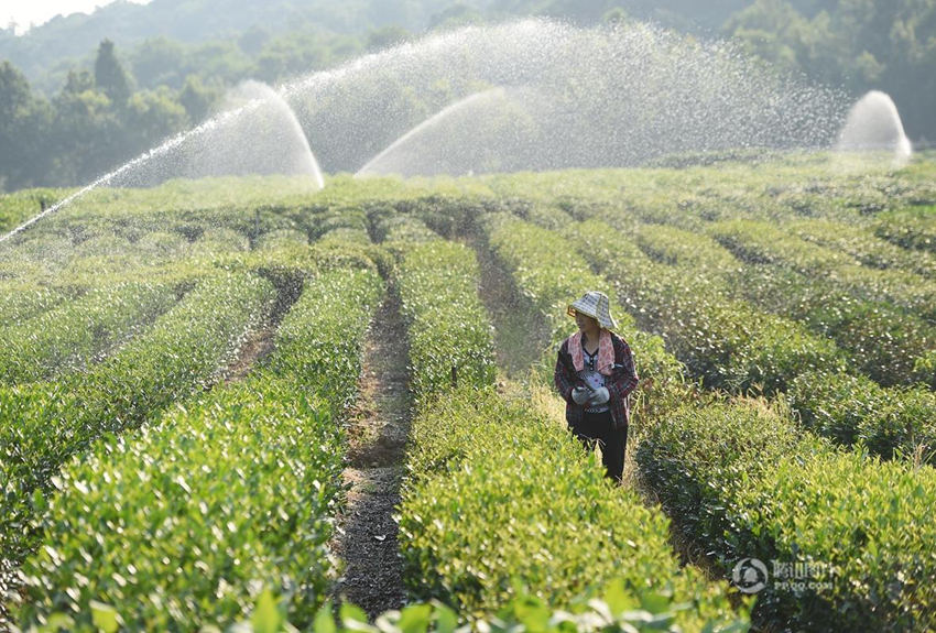 ??? ? ???? ?? ? ???, ?? ??