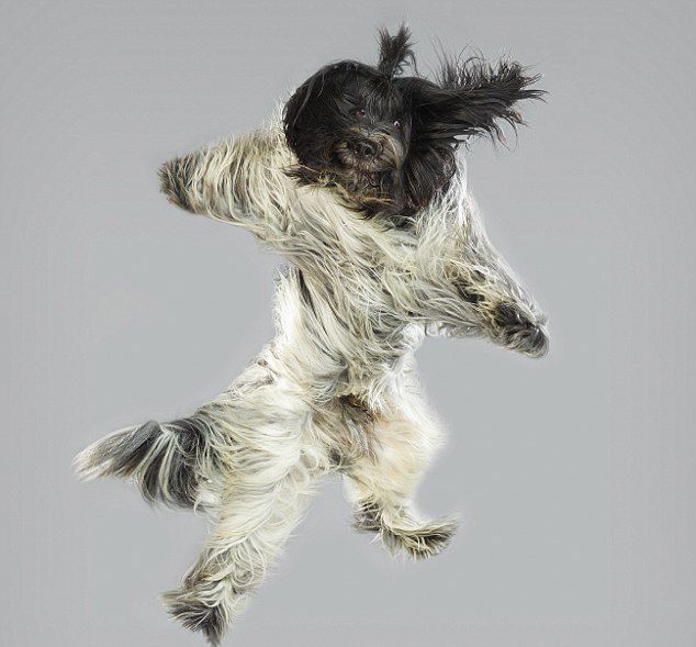 ??? ???? ?? ??, ??? ?? ‘??’