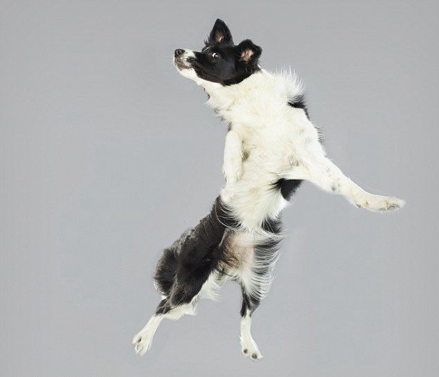 ??? ???? ?? ??, ??? ?? ‘??’