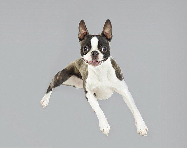 ??? ???? ?? ??, ??? ?? ‘??’