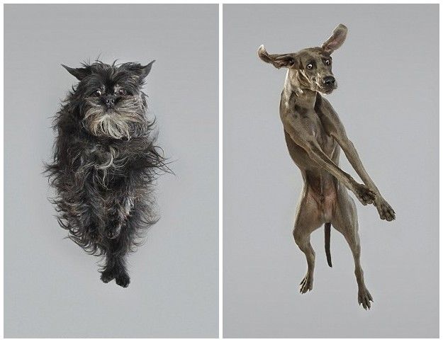 ??? ???? ?? ??, ??? ?? ‘??’