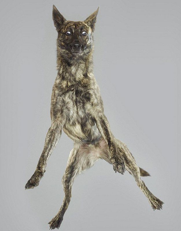 ??? ???? ?? ??, ??? ?? ‘??’