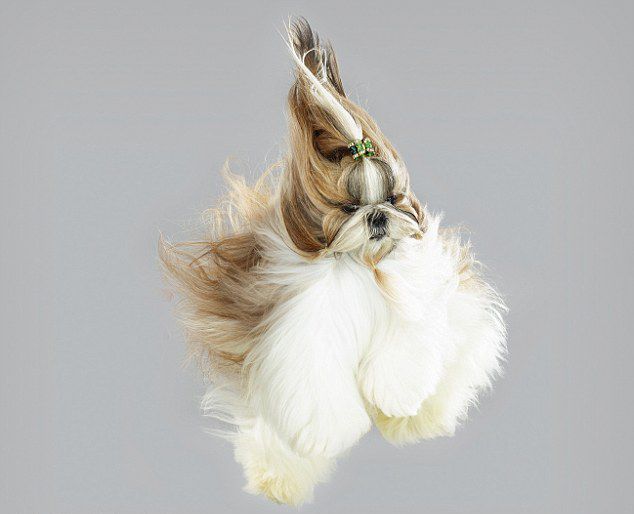 ??? ???? ?? ??, ??? ?? ‘??’