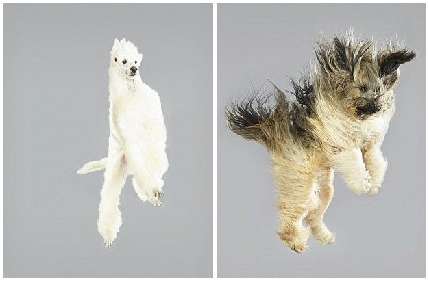 ??? ???? ?? ??, ??? ?? ‘??’