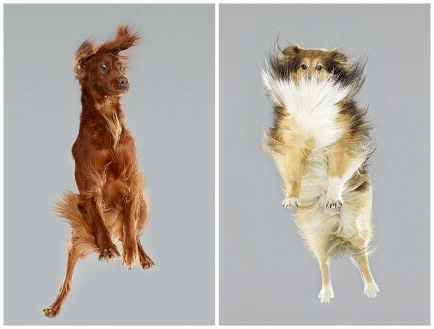 ??? ???? ?? ??, ??? ?? ‘??’