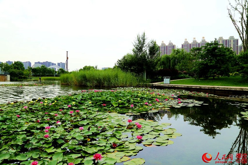 ????? ?? ?? ??…?? ??? ?? ??