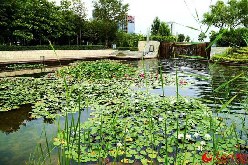 ????? ?? ?? ??…?? ??? ?? ??