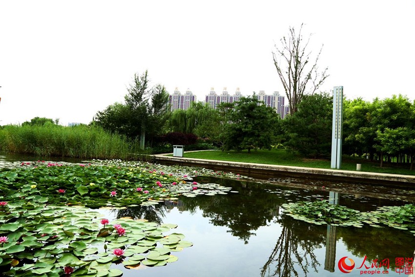 ????? ?? ?? ??…?? ??? ?? ??