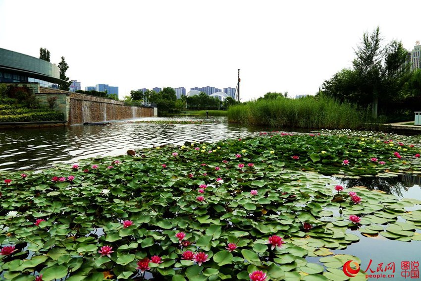 ????? ?? ?? ??…?? ??? ?? ??