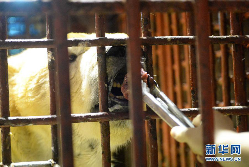 ???? ?? ??? ???? ??? ??? ???