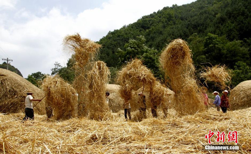 ?? ????? ?? ???? ?? ‘?? ??’