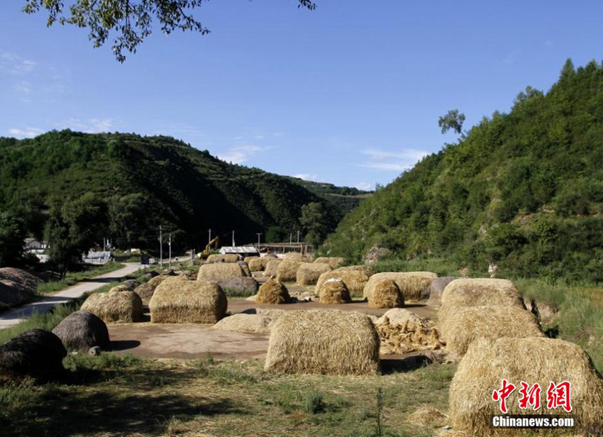 ??? ??? ??????? ??? ????? ???? ??.