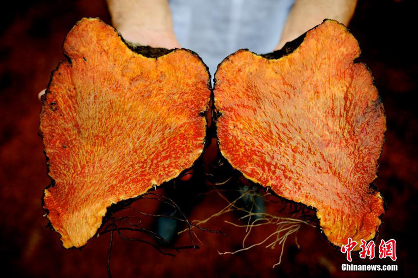 ??? ?????, ?? ??? ?? ??