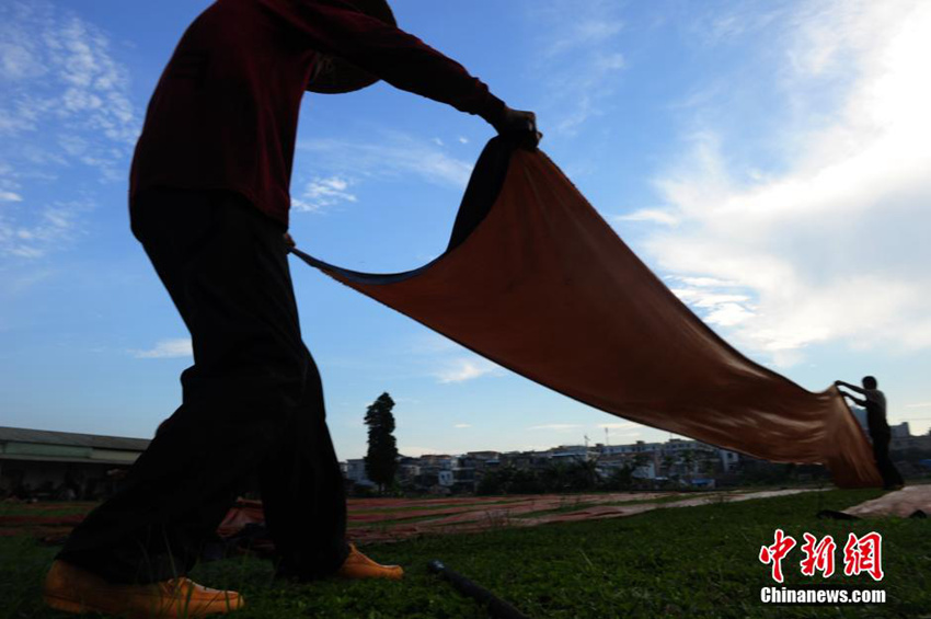 ??? ?????, ?? ??? ?? ??