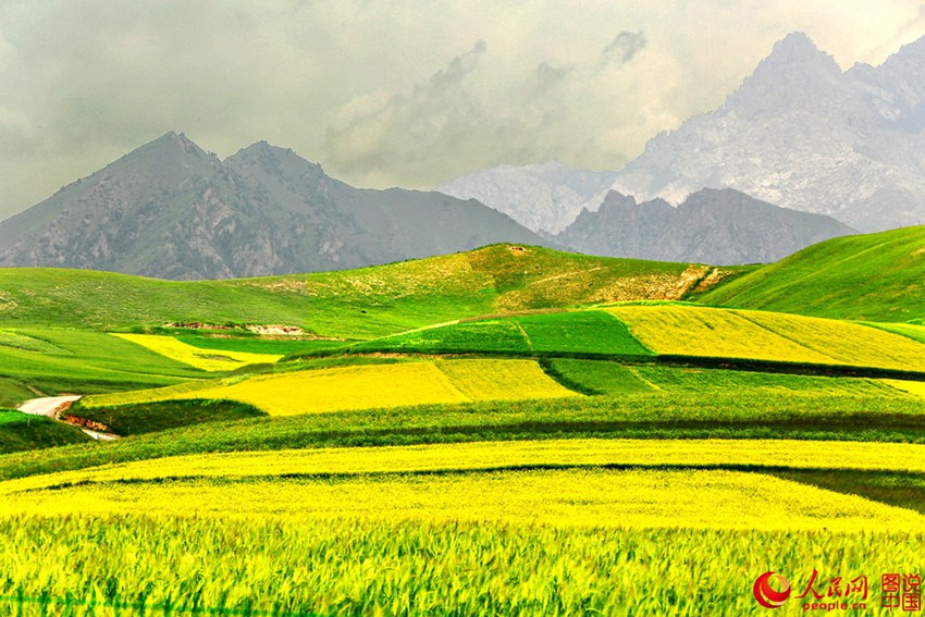 ???? ?? ??? ?? ??? ???? ??