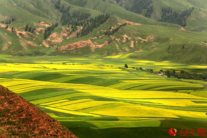 ???? ?? ??? ?? ??? ???? ??